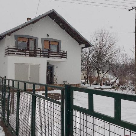 Moj Salas Novi Sad Eksteriør bilde