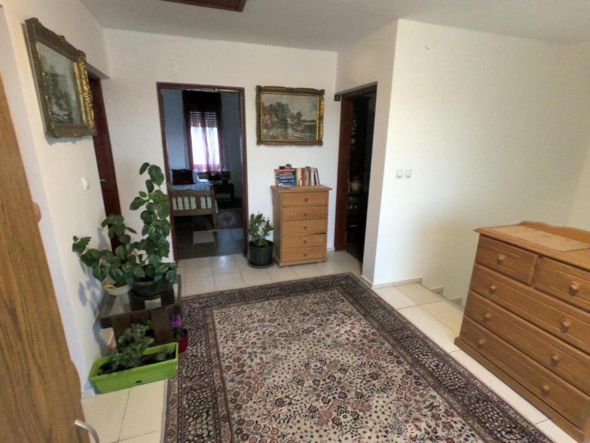 Moj Salas Novi Sad Eksteriør bilde