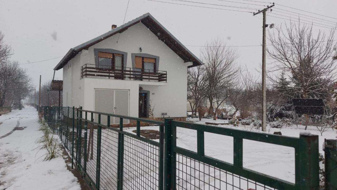 Moj Salas Novi Sad Eksteriør bilde